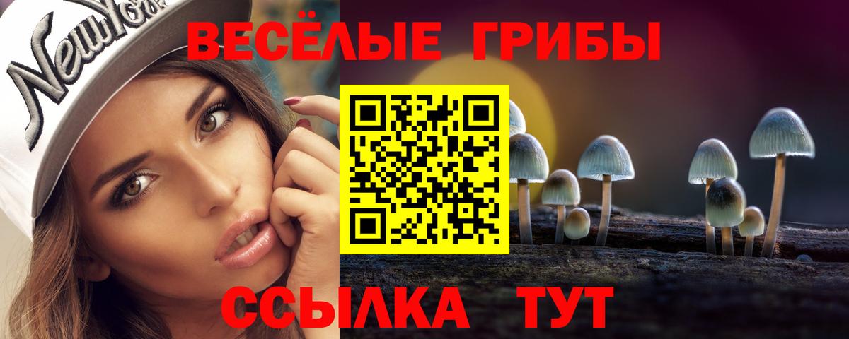 Псилоцибиновые грибы GOLDEN TEACHER Менделеевск